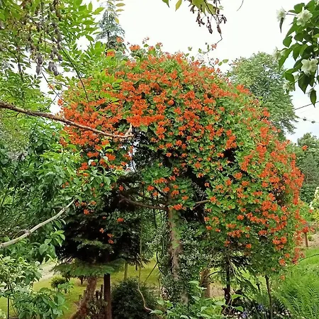 Leszczynowa 7 Blisko Zatora Apartment Spytkowice (Wadowice)